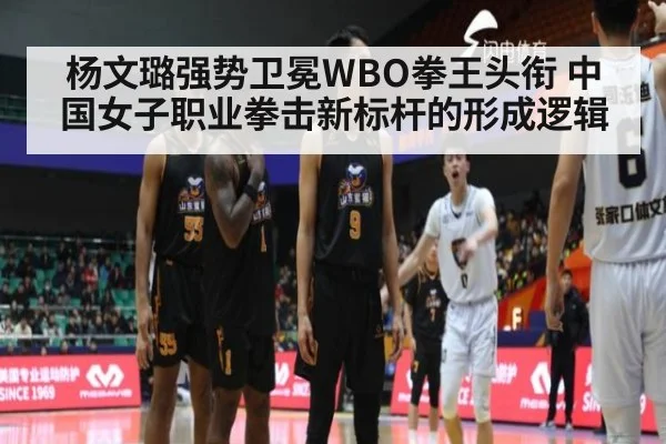 杨文璐强势卫冕WBO拳王头衔 中国女子职业拳击新标杆的形成逻辑